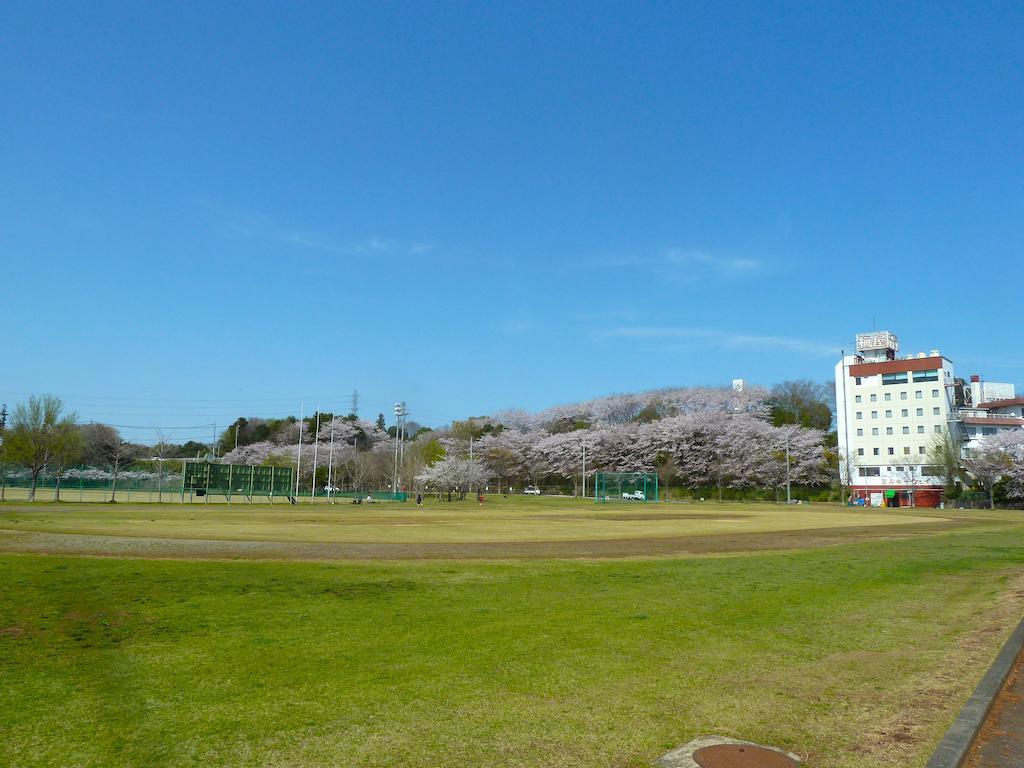 Hotel New Umeya Tsukuba Esterno foto